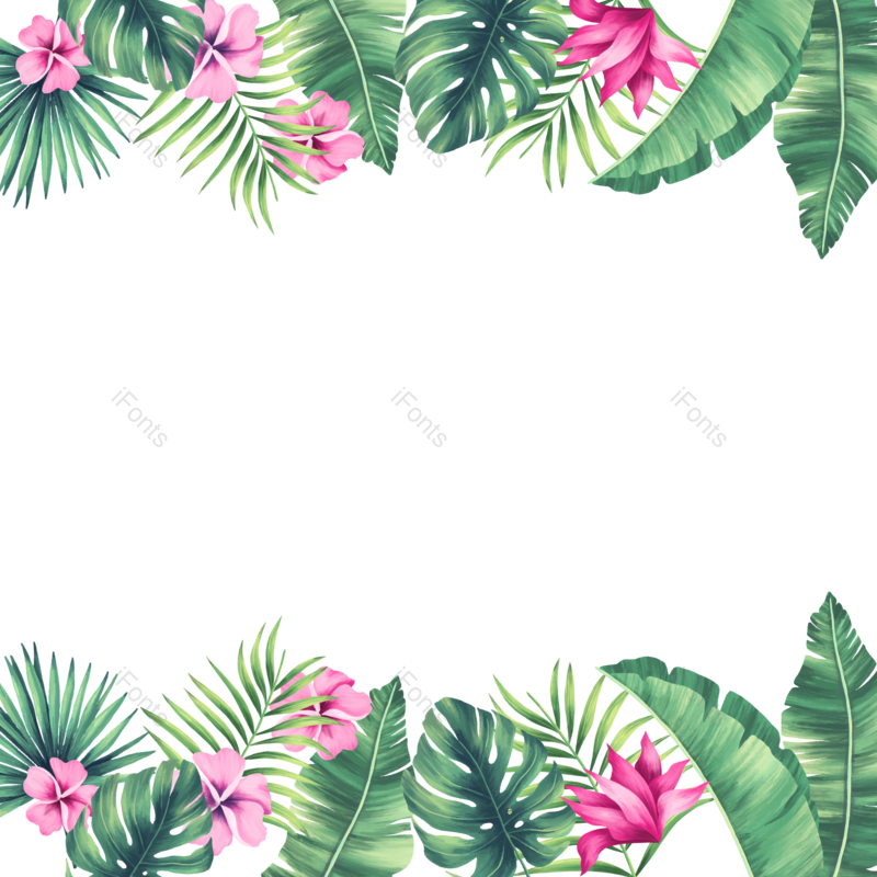 叶子图片,夏天元素,绿叶PNG,花草免抠素材